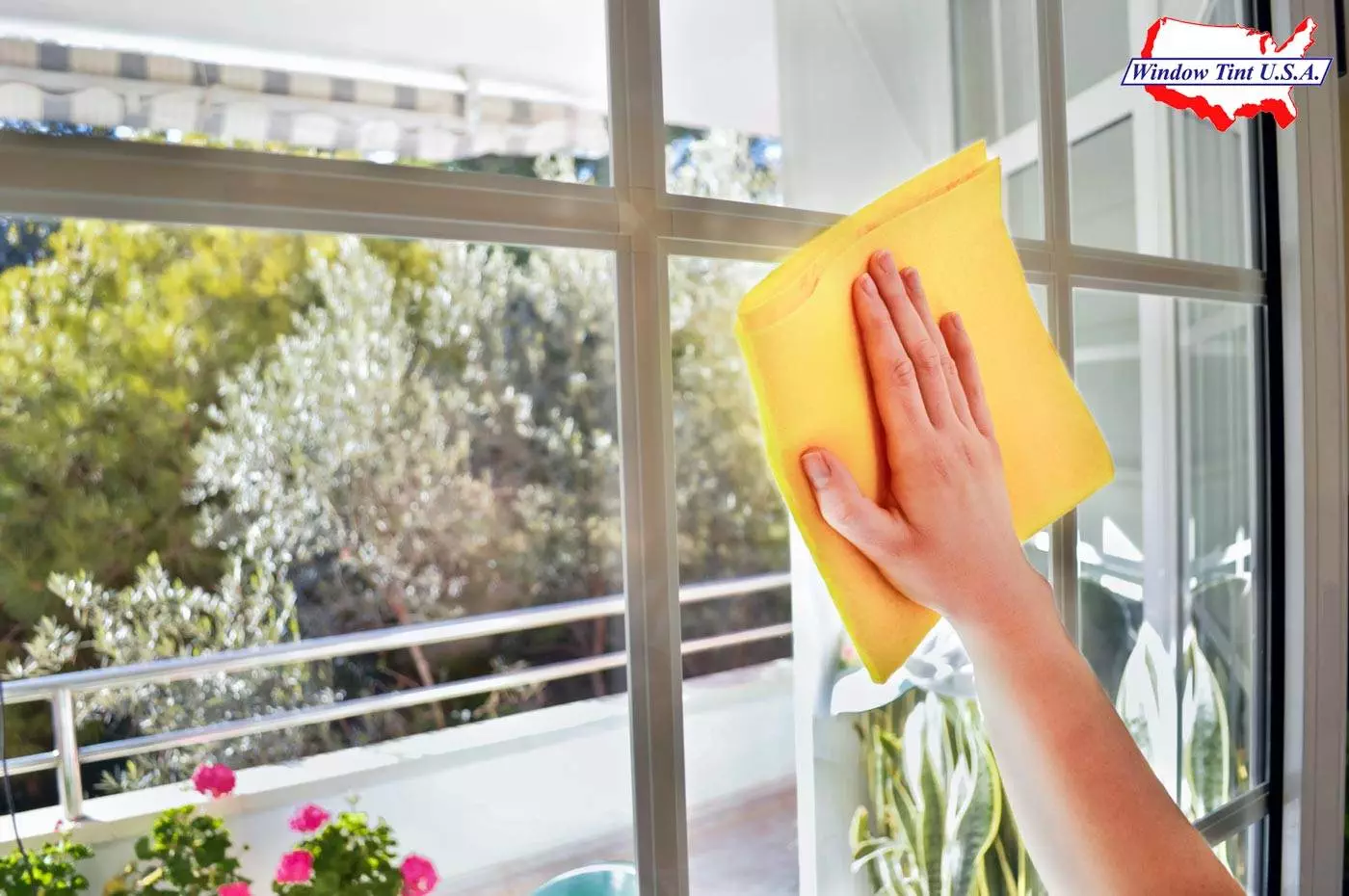 window film