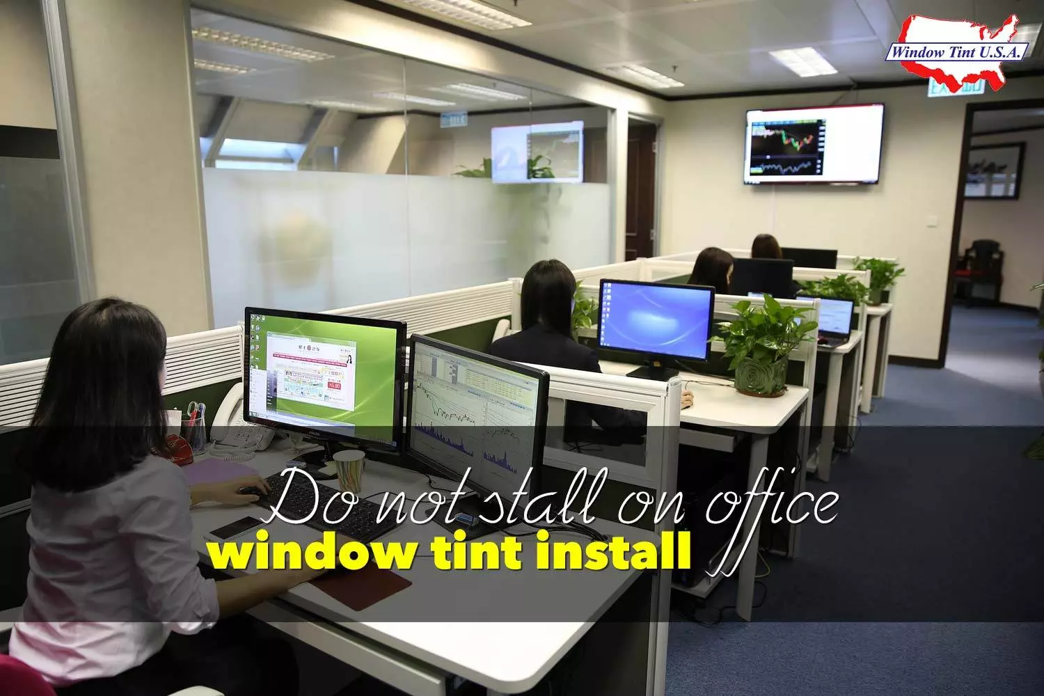 office window tint