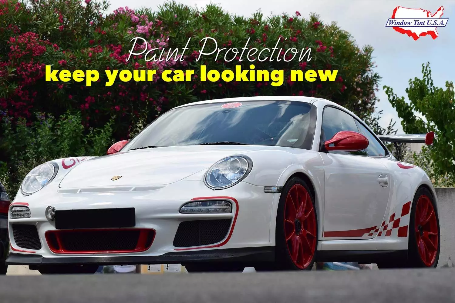 Automotive Paint Protection