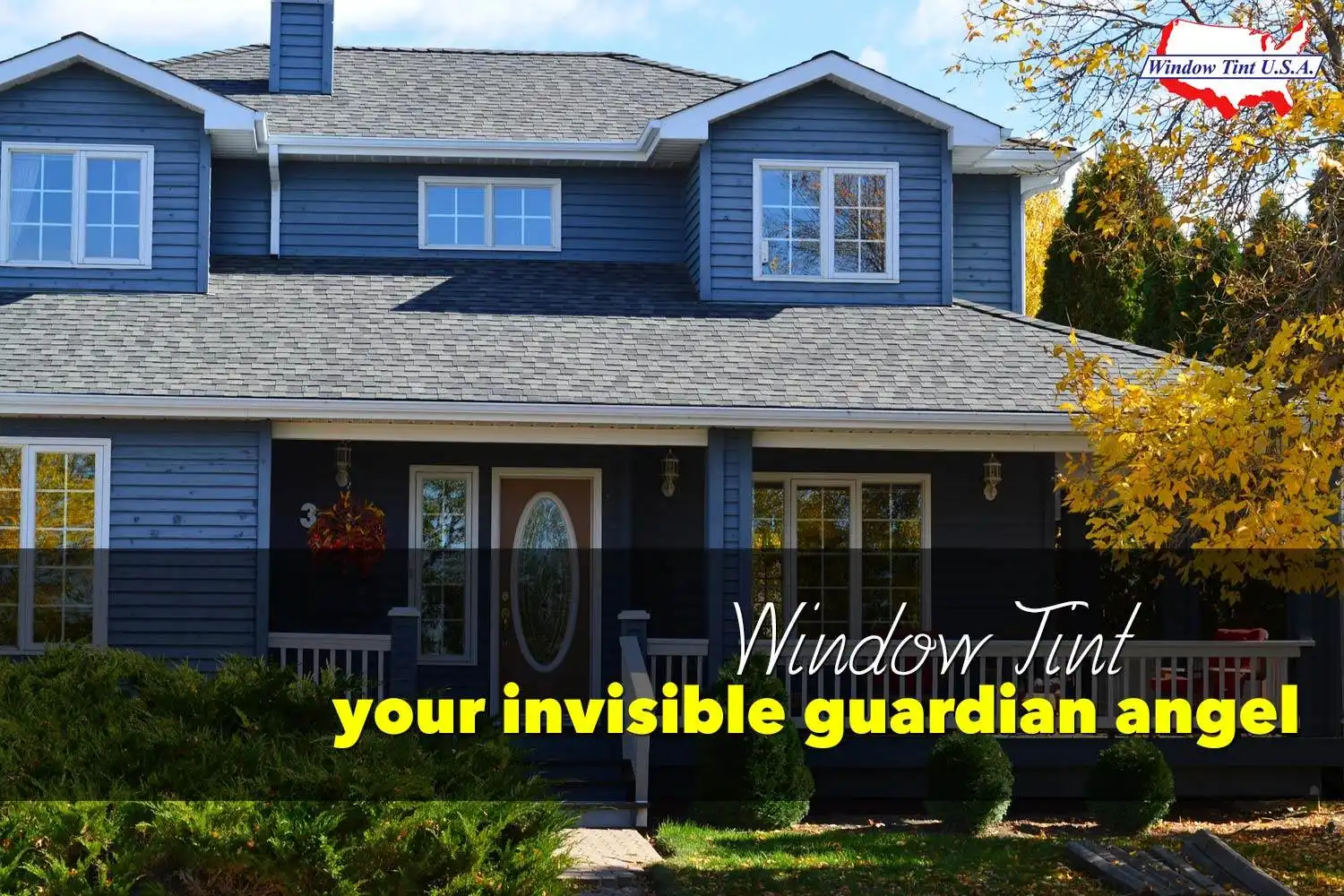 Window Tint